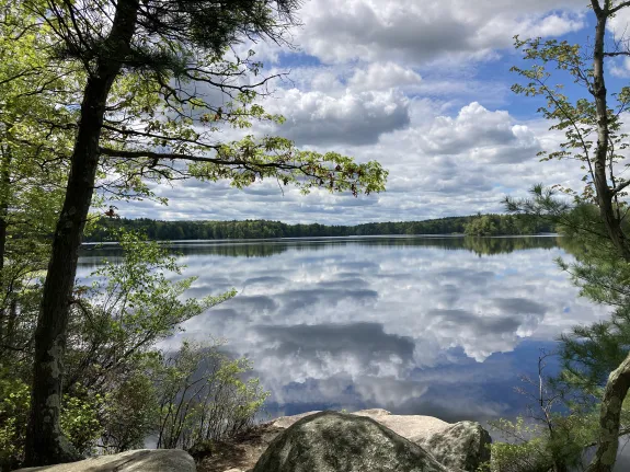View of Whitehall Reservoir from Piazza Lane Property, Hopkinton